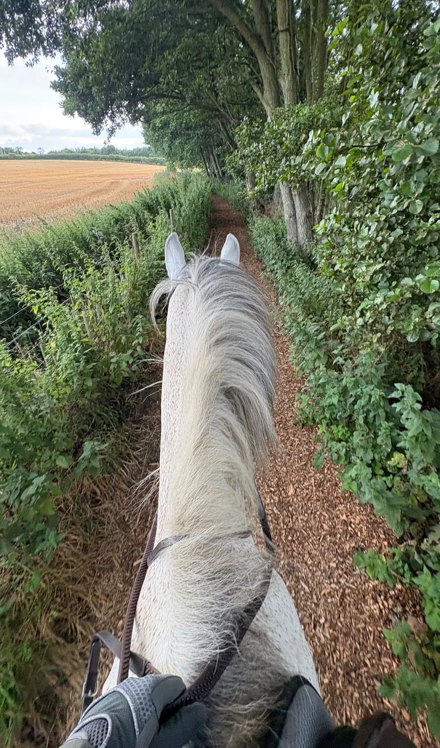 Riding a grey horse along a hedged bridleway out onto the nature reserve